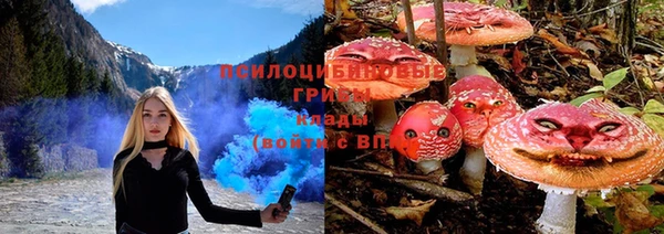 амфетамин Новозыбков