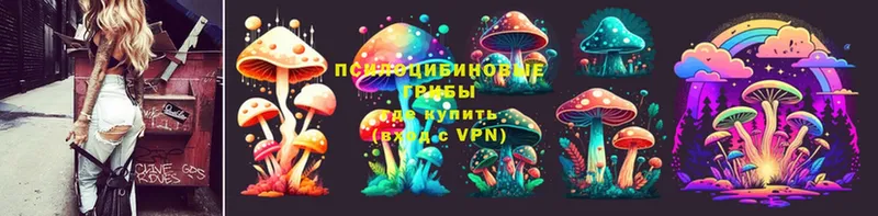 Псилоцибиновые грибы Psilocybine cubensis  закладки  OMG ONION  Подпорожье 